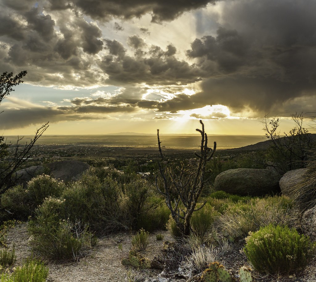 Albuquerque